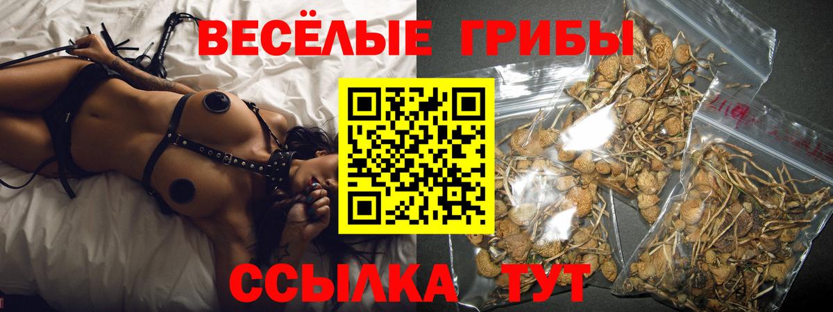 Солнечногорск  Псилоцибиновые грибы GOLDEN TEACHER  Вход с VPN 